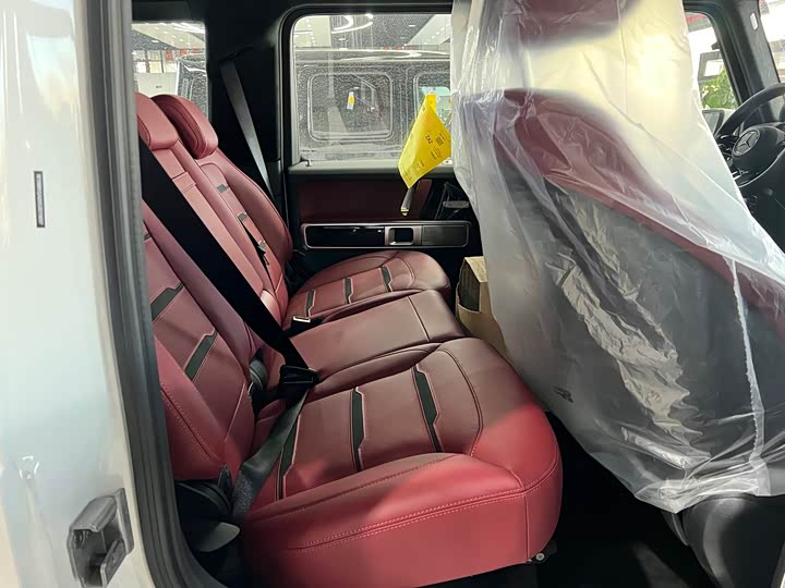 Фото 28 - Mercedes-Benz G-Class AMG