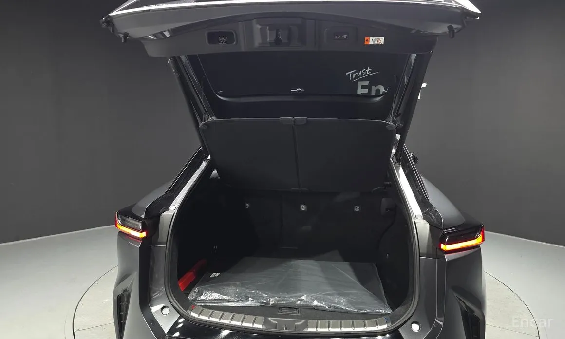 Lexus RZ 2023 Luxury