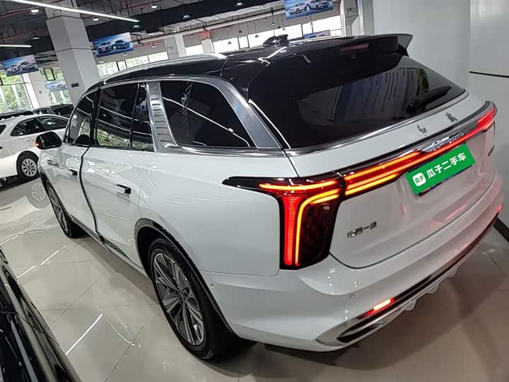 Hongqi E-HS9 2022 2022款 660km 旗畅版 六座
