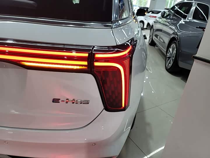 Hongqi E-HS9 2022 2022款 660km 旗畅版 六座