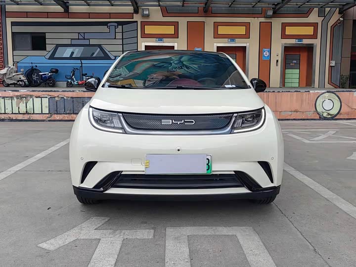 Фото 2 - BYD Dolphin