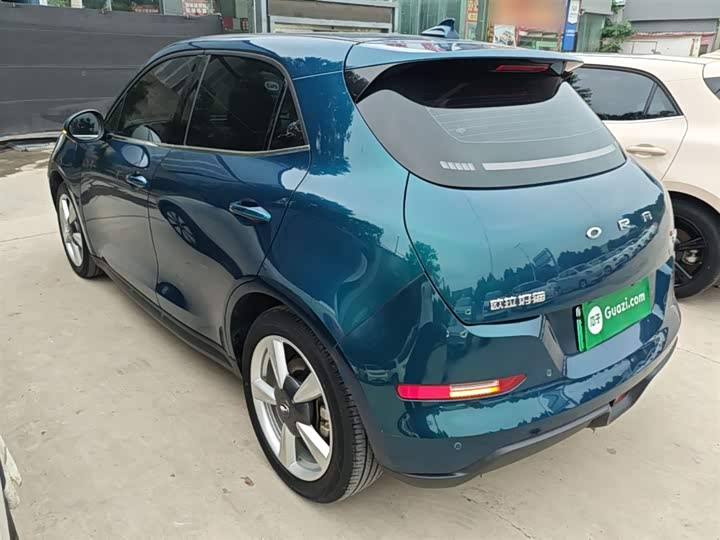 صورة 5 - Ora Good Cat (03)
