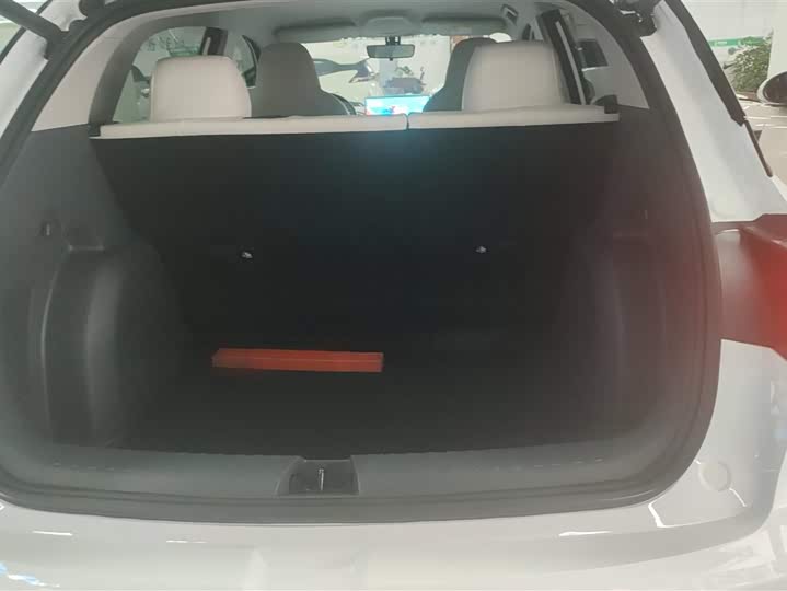 Фото 4 - Geely Galaxy Geome