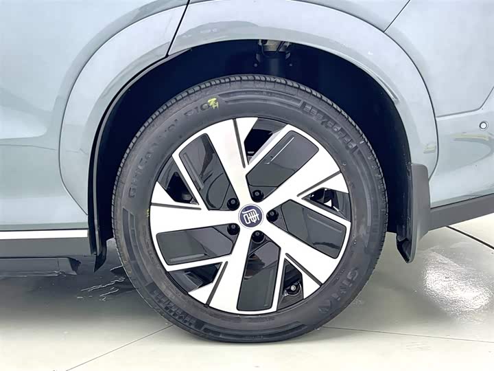 2025 BYD Tang L