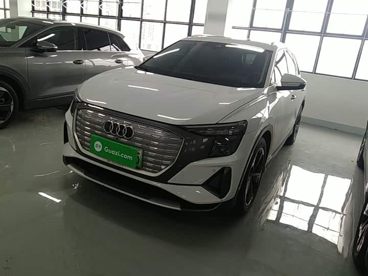 Audi Q5 e-tron 2023 2023款 40 e-tron 星耀型 锦衣套装