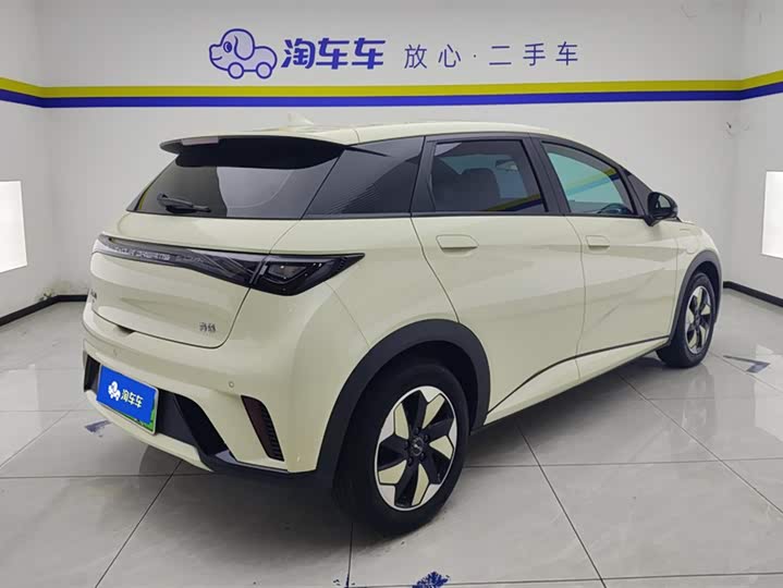 Фото 3 - BYD Dolphin