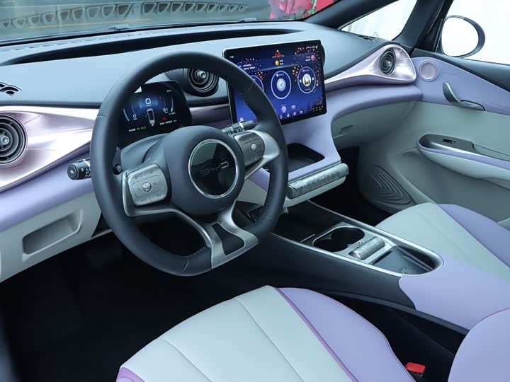 Zdjęcie 5 - BYD Dolphin