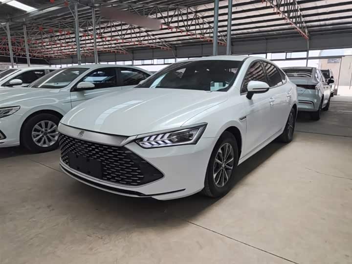 BYD Qin Plus 2021 2021款 DM-i 55KM 尊贵型