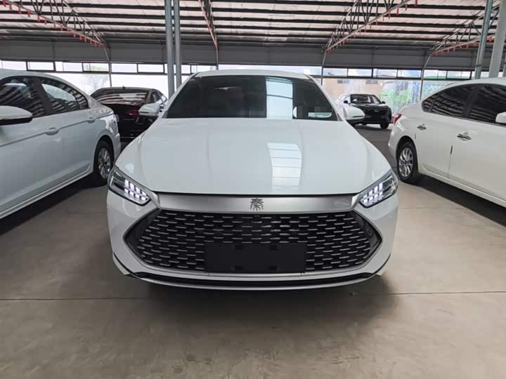BYD Qin Plus 2021 2021款 DM-i 55KM 尊贵型