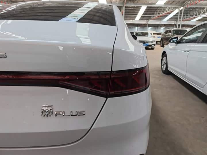 BYD Qin Plus 2021 2021款 DM-i 55KM 尊贵型