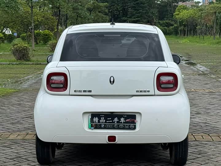 Ora Black Cat 2021 2021款 301km 基础型