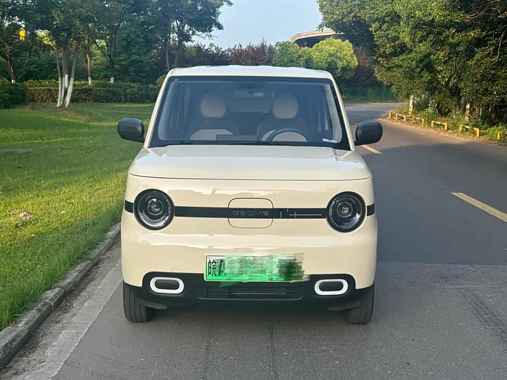 Фото 2 - Geely Galaxy Panda Mini