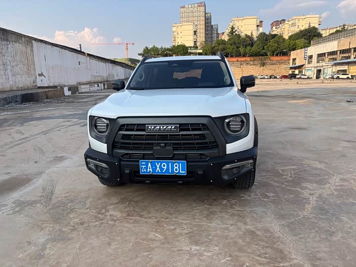 Фото 2 - Haval Dargo