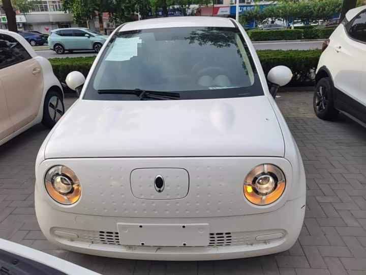 Ora Black Cat 2021 2021款 301km 基础型