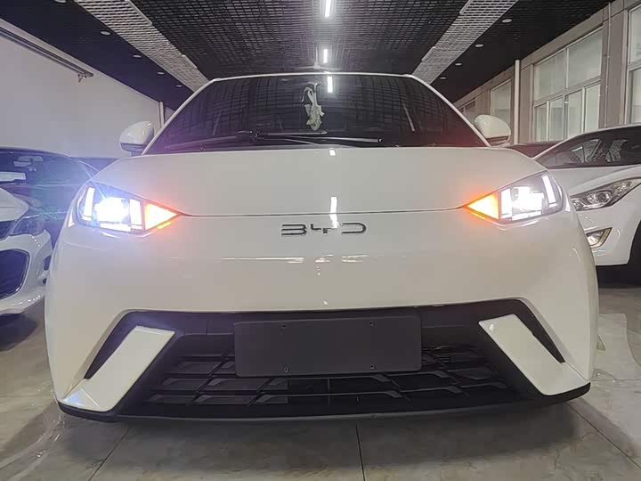 Фото 3 - BYD Seagull