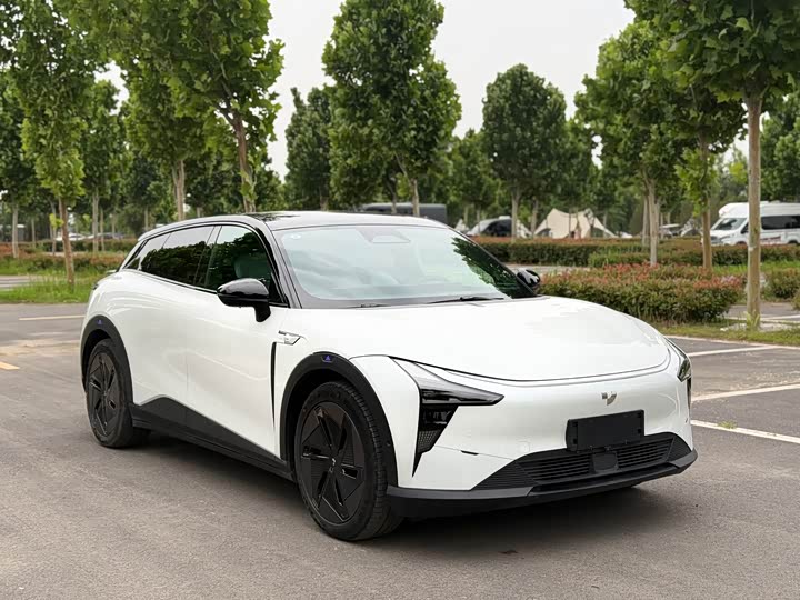 Geely Jiyue 01 2024 2024款 Max 性能版