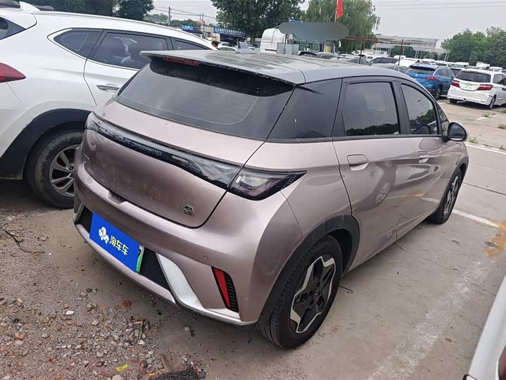 Zdjęcie 3 - BYD Dolphin