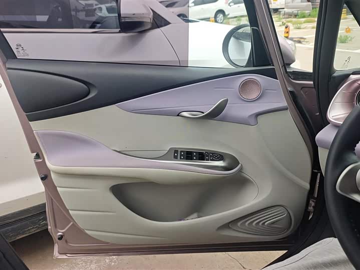 Zdjęcie 7 - BYD Dolphin