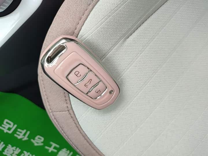 Geely Galaxy Panda Mini 2025 2025款 熊猫mini 210km 元气熊