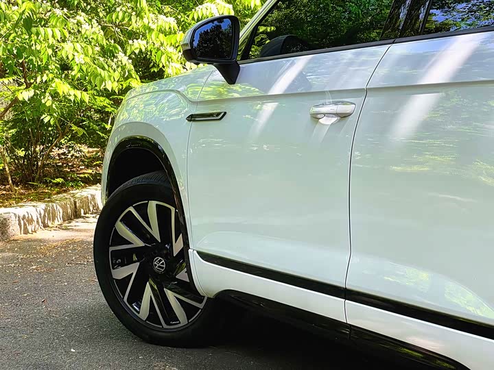 Volkswagen Tayron 2024 2024款 330TSI 两驱R-Line高能版