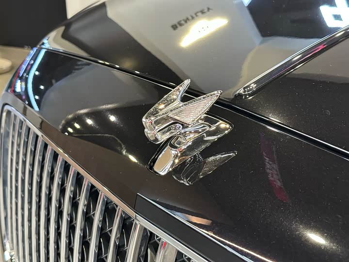 Bentley Flying Spur Hybrid 2023 2023款 2.9T V6 Hybrid S