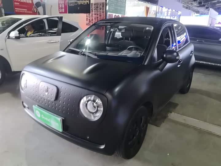 Ora Black Cat 2021 2021款 301km 基础型