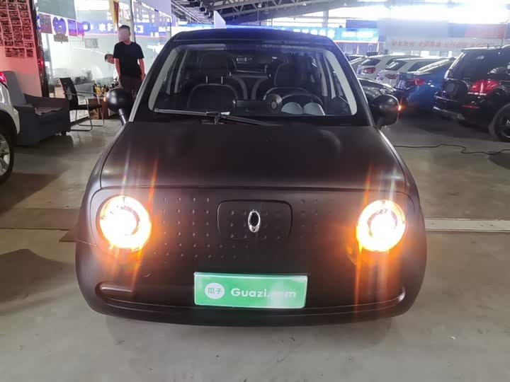 Ora Black Cat 2021 2021款 301km 基础型