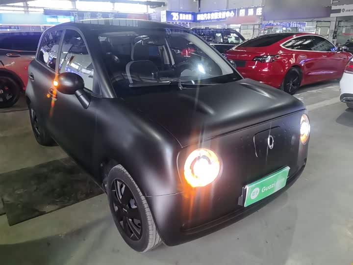Ora Black Cat 2021 2021款 301km 基础型