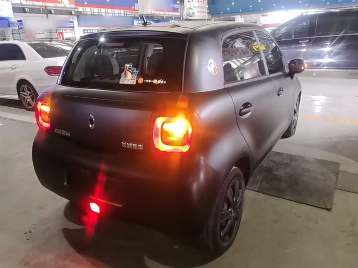 Ora Black Cat 2021 2021款 301km 基础型