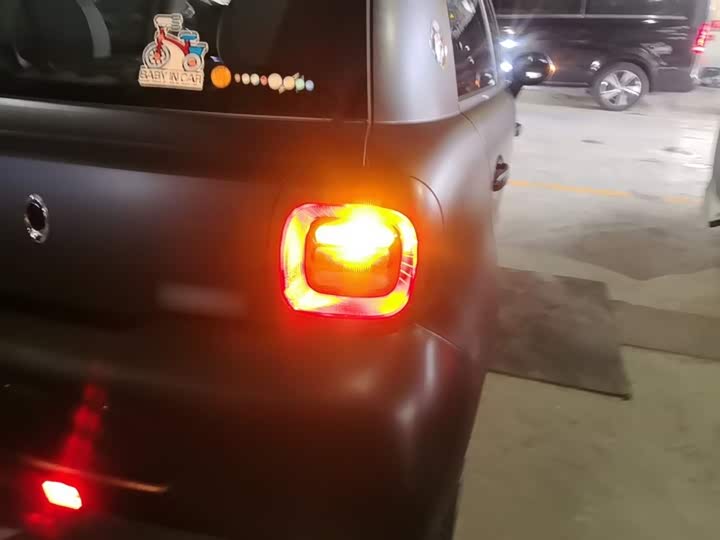 Ora Black Cat 2021 2021款 301km 基础型