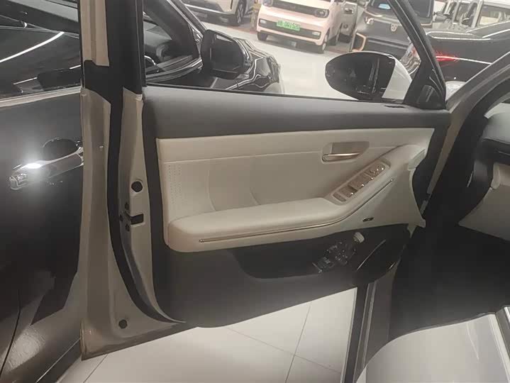 Baojun Xiangjing 2025 2025款 纯电 600km公务版