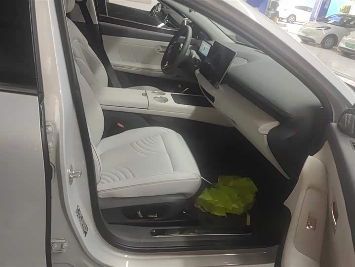 Baojun Xiangjing 2025 2025款 纯电 600km公务版