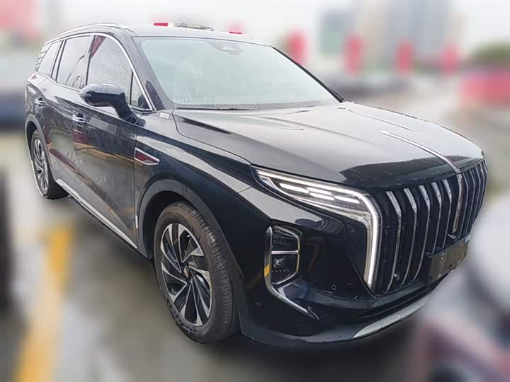 Фото 7 - Hongqi HS7 Hybrid
