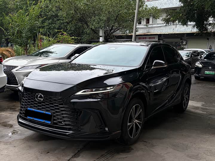 Lexus RX 2025 2025款 300 四驱骏享版