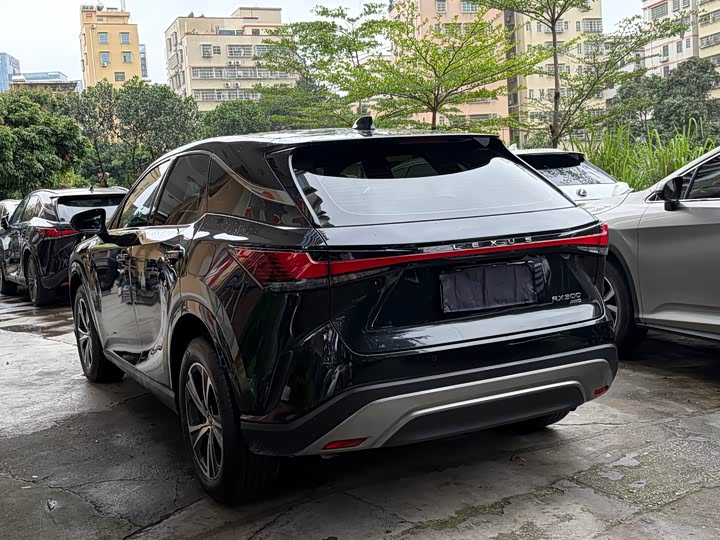 Lexus RX 2025 2025款 300 四驱骏享版