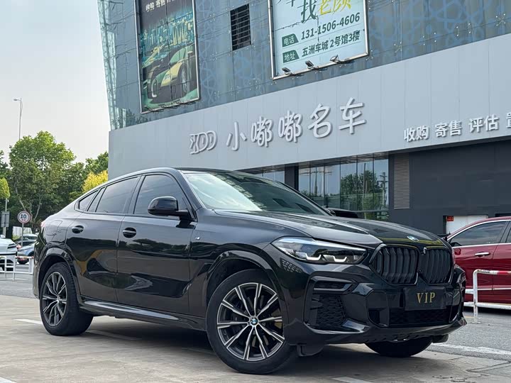 2023 BMW X6
