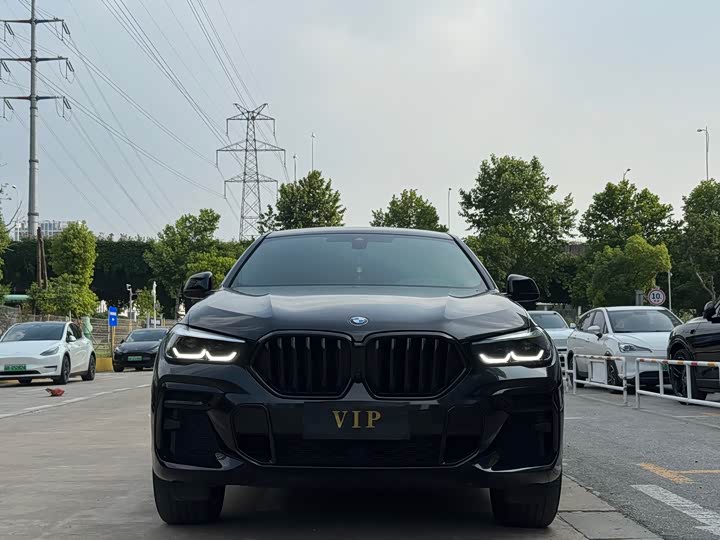 2023 BMW X6