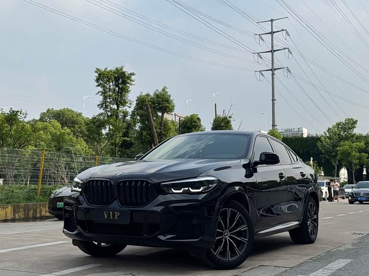 2023 BMW X6