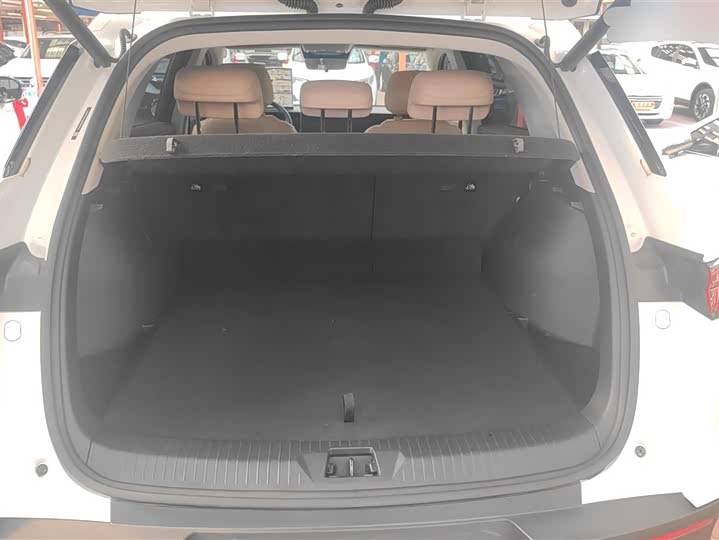 BYD Song Pro Hybrid 2025 2025款 第二代 DM-i 75KM超越型