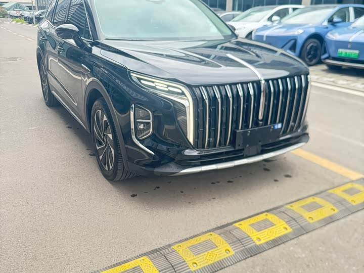 Фото 3 - Hongqi HS7 Hybrid