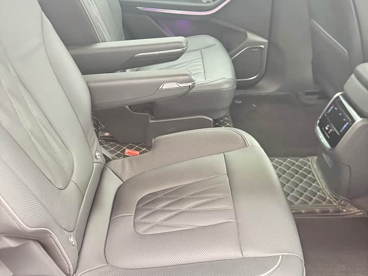 Фото 9 - Hongqi HS7 Hybrid