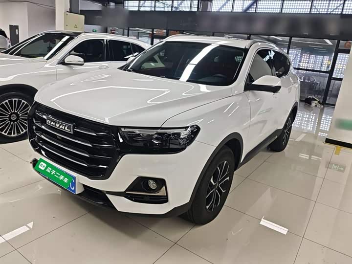 Haval H6 2025 2025款 1.5T 国潮都市版