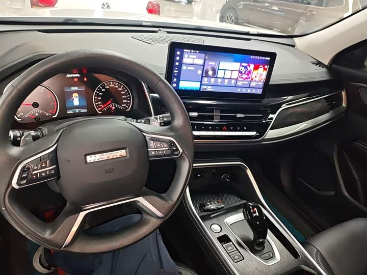 Haval H6 2025 2025款 1.5T 国潮都市版