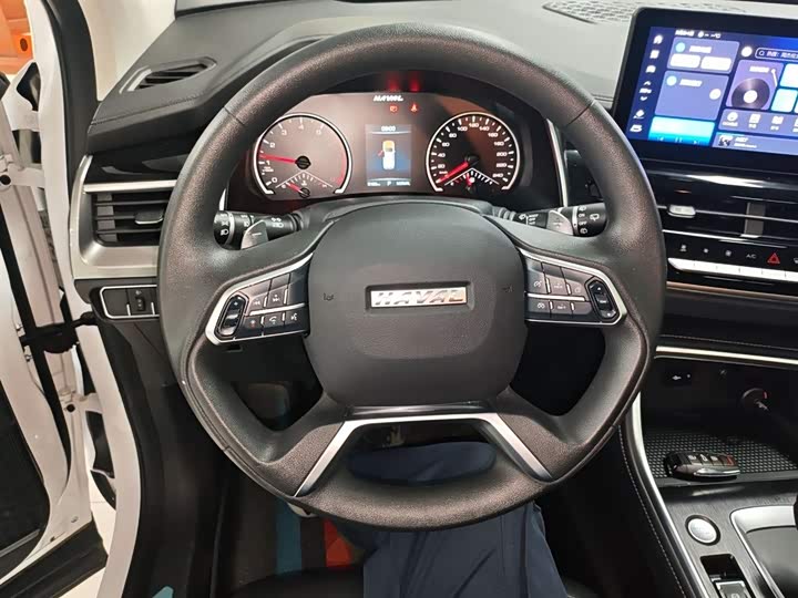 Haval H6 2025 2025款 1.5T 国潮都市版