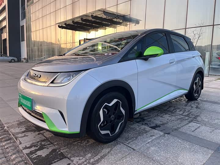 Zdjęcie 1 - BYD Dolphin