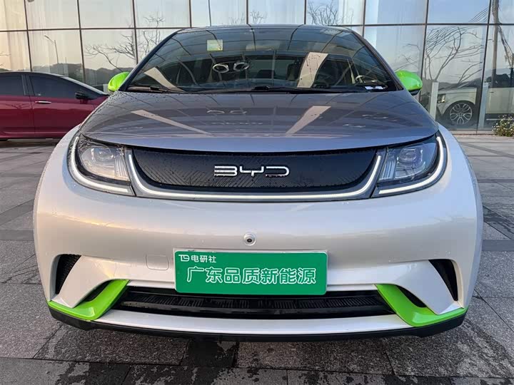Zdjęcie 2 - BYD Dolphin