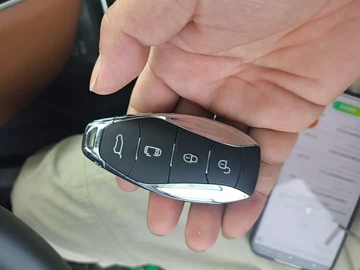 Hongqi HQ9 Hybrid 2024 2024款 2.0T 四驱商务版