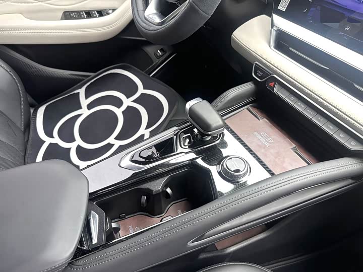 Zdjęcie 5 - Geely Monjaro