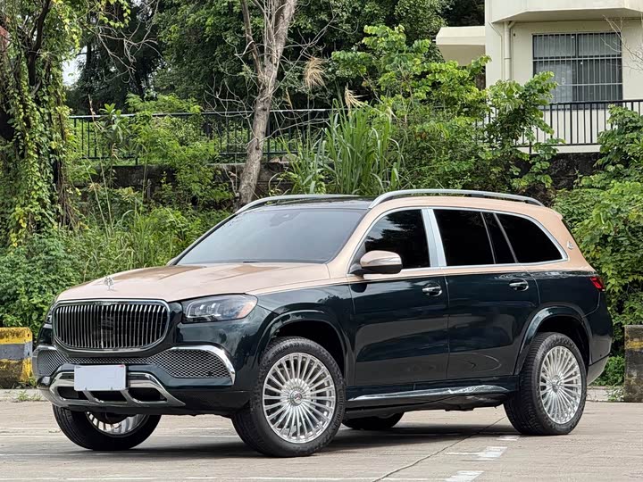 صورة 3 - Mercedes-Benz GLS-Class