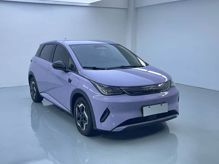 BYD Dolphin 2025 2025款 智驾版 420km 自由版